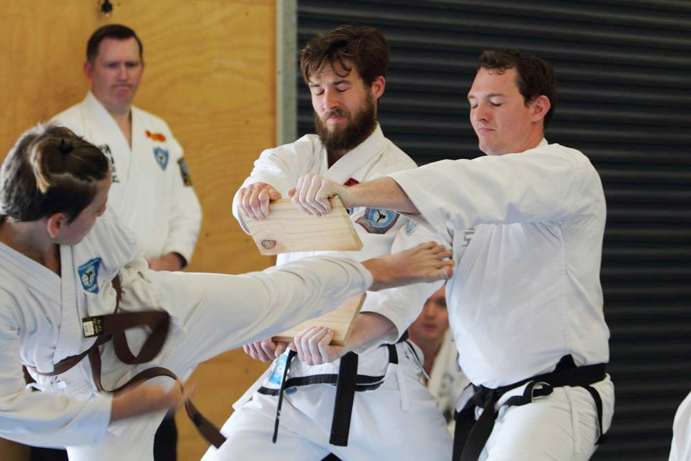 Adult Martial Arts Classes Brisbane - MARTIAL ARTS TRAINING