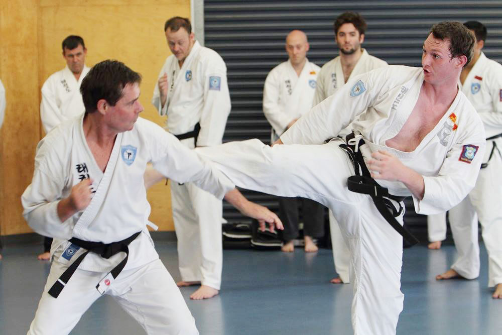 Adult Martial Arts Classes Brisbane – MARTIAL ARTS TRAINING