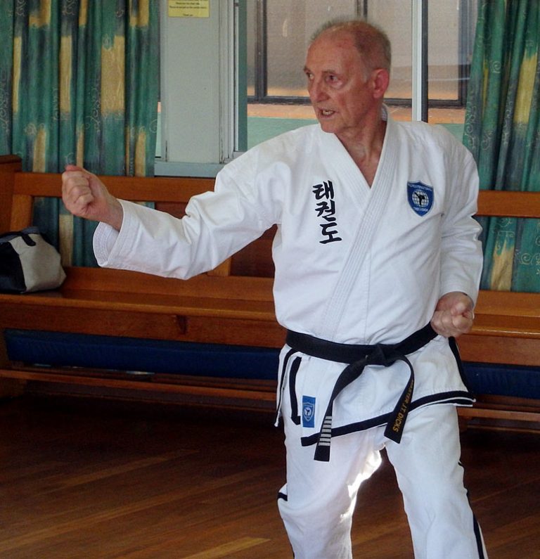 Using whips and moving the body like a whip in martial arts MARTIAL