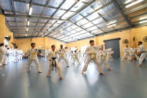 Fundamental Exercises (Part A) in Taekwon-Do: A list of 149 exercises