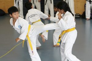 Why kids martial arts training is so important