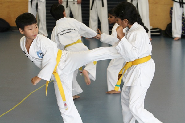 Why kids martial arts training is so important