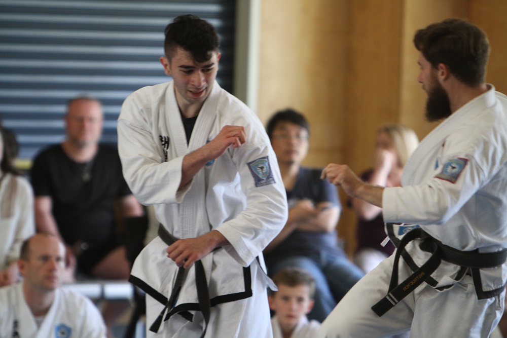 taekwondo brisbane stance