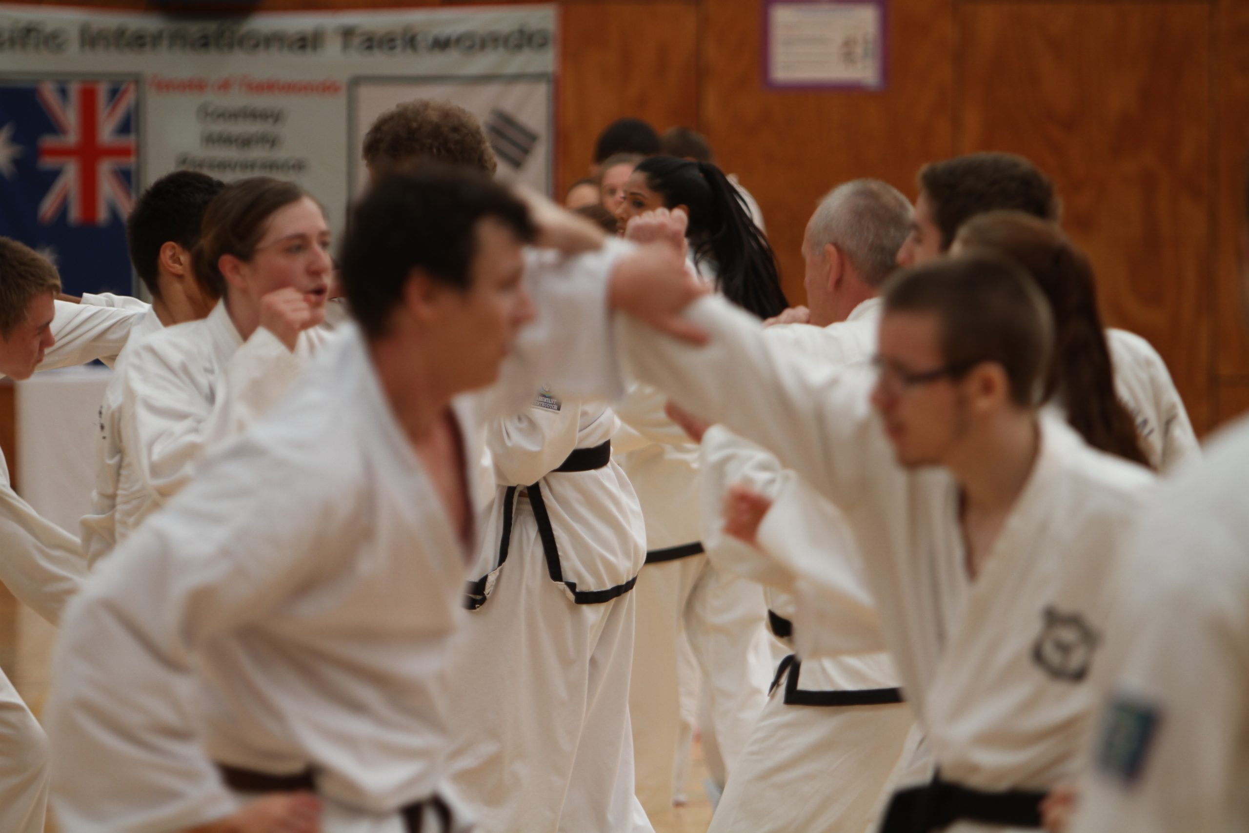 How Adults Taekwondo Classes Can Help You Manage Stress