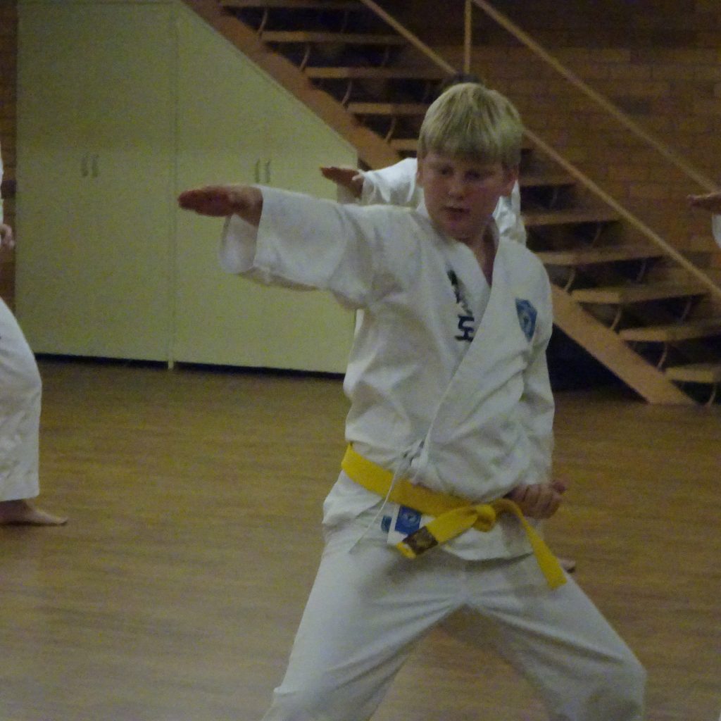 Fundamental Exercises (A) 149 exercises 73. Rear Foot Stance Knife