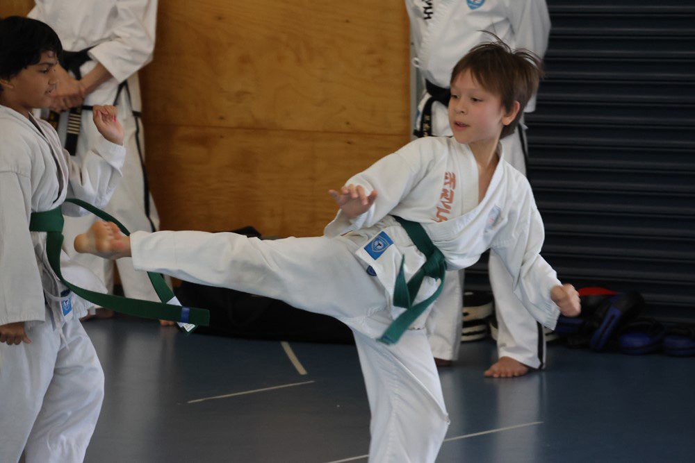 boy practicing taekwondo kick