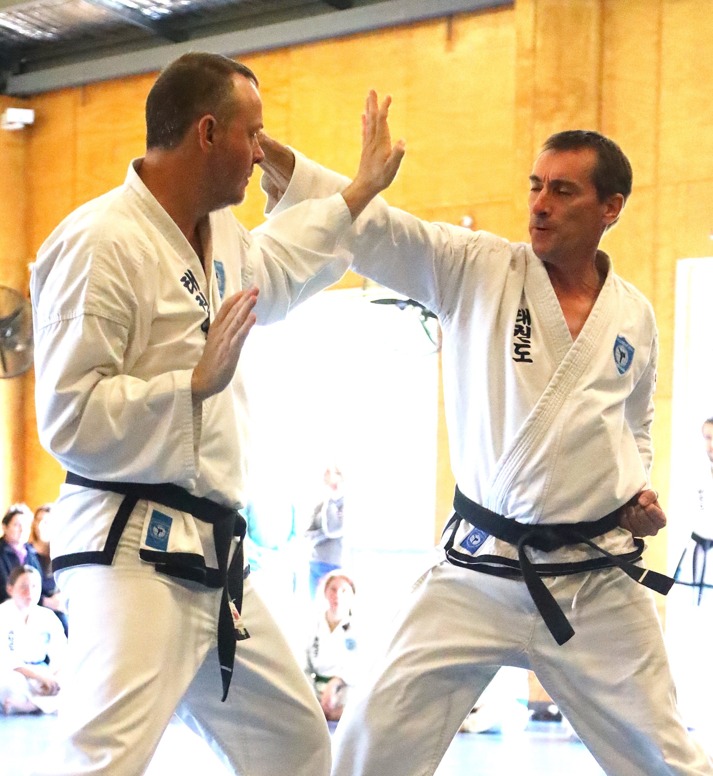 Taekwondo Stafford students training