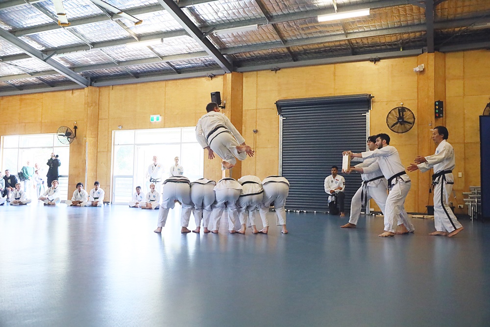 Taekwondo flying side kick