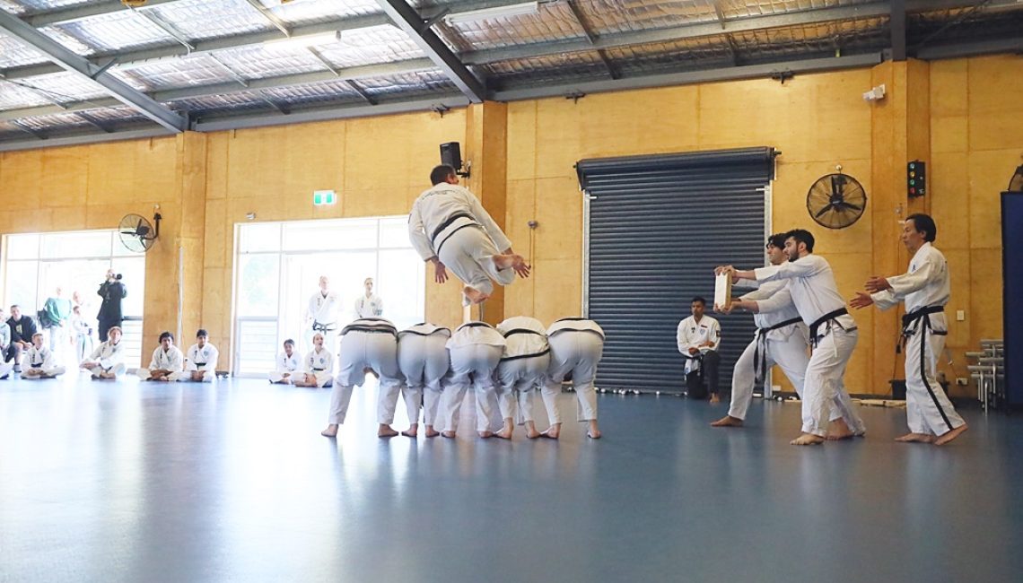 Taekwondo flying side kick