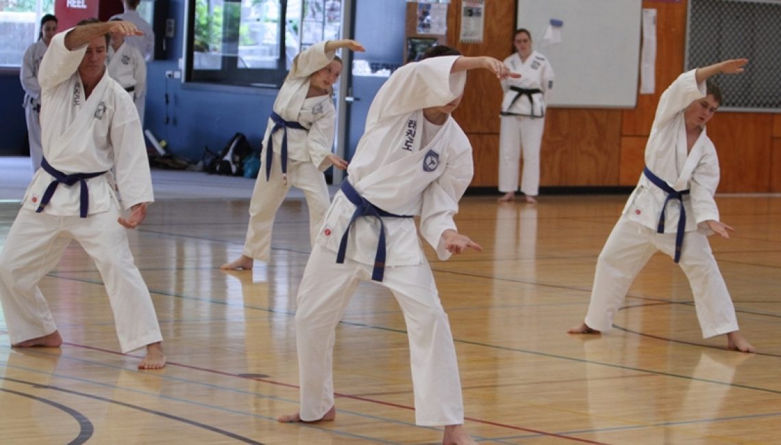 pacific international taekwondo brisbane