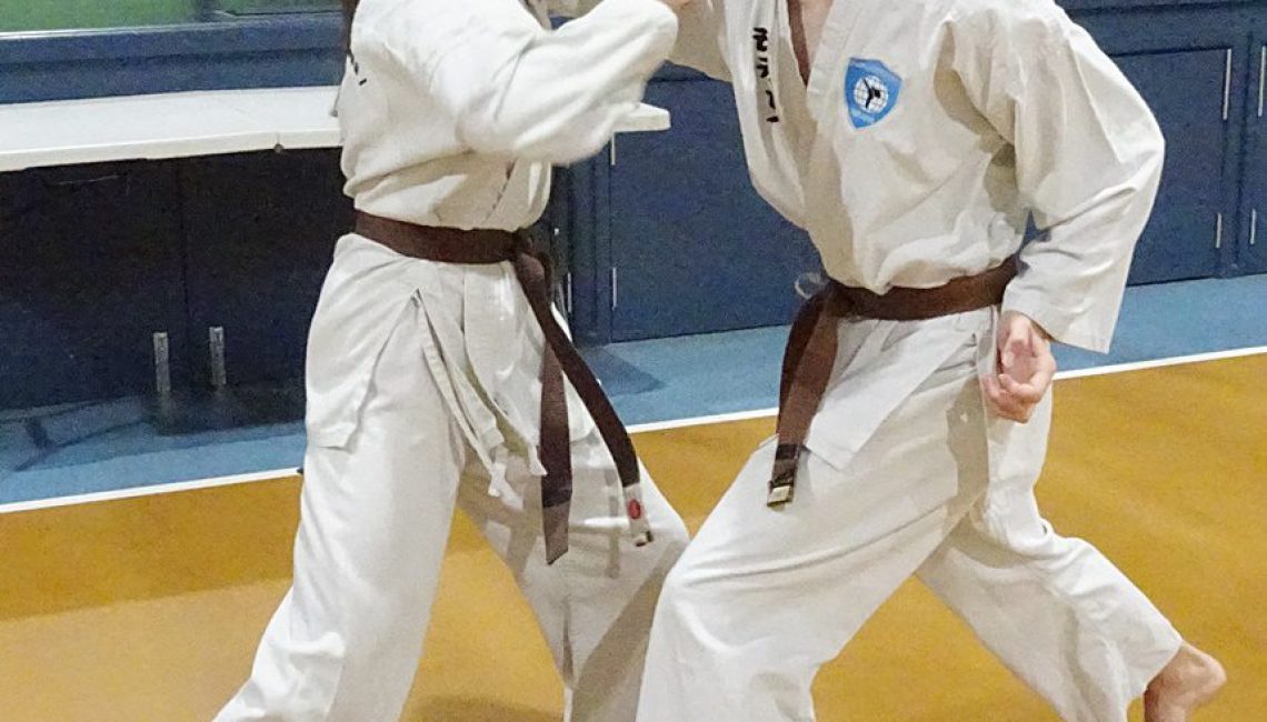 1st kup junior students practising martial arts