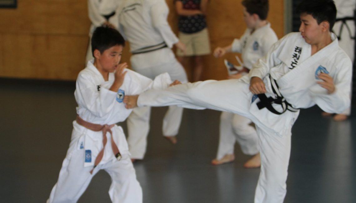 taekwondo kick