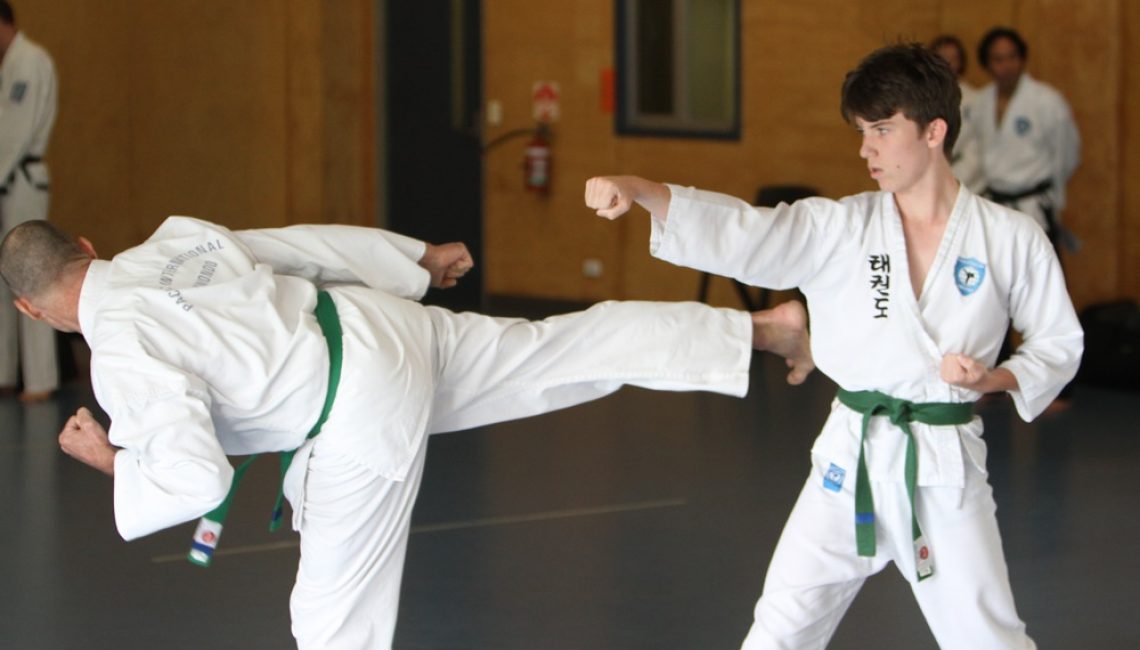 Beginner Taekwondo Class for Teens MARTIAL ARTS TRAINING
