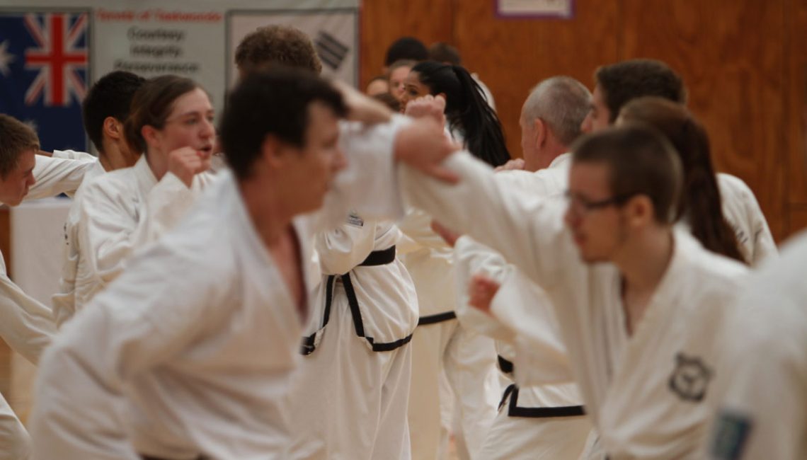 adult taekwondo classes